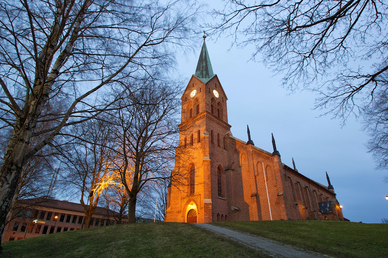 IMGP2078.jpg