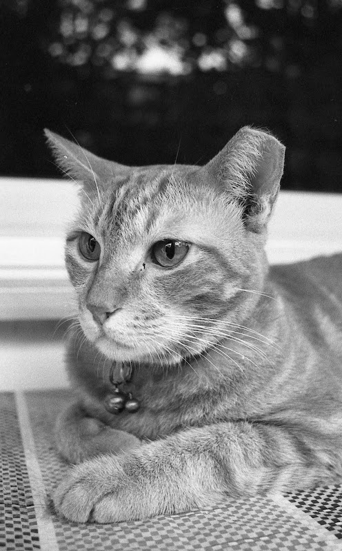Scan-110830-0033.jpg