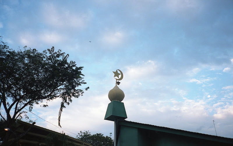 PVC160022.jpg