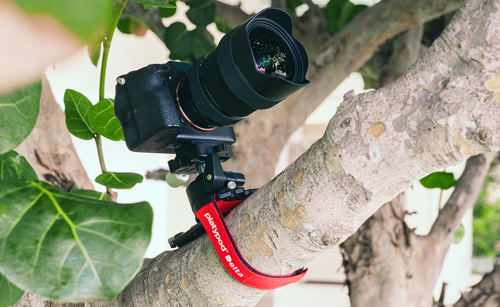 157__DELTA__Kickstarter__KelbyOne__Blog_Img10_1040x684.jpg
