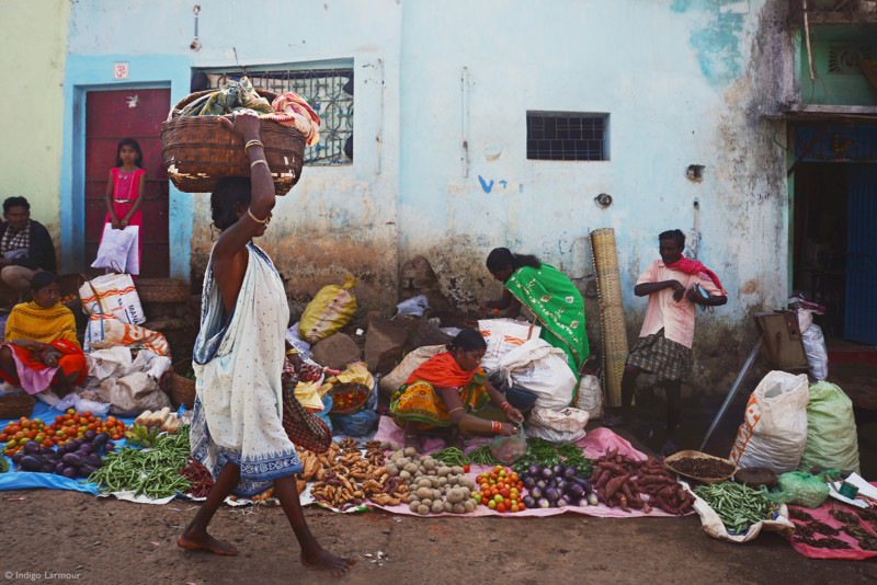 31.-Young-11-14-Indigo-Larmour-Odisha-Tribal-Market-Hi-res-800x534.jpg