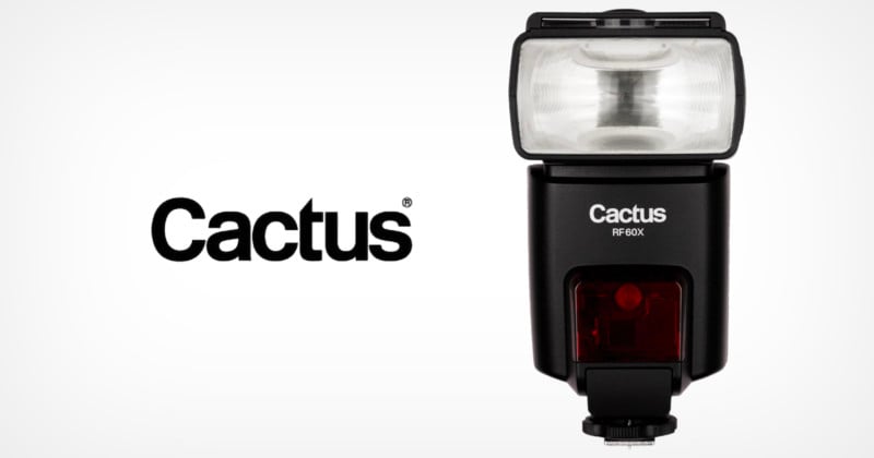 Lighting-Equipment-Manufacturer-Cactus-Has-Ceased-Operations-800x420.jpg