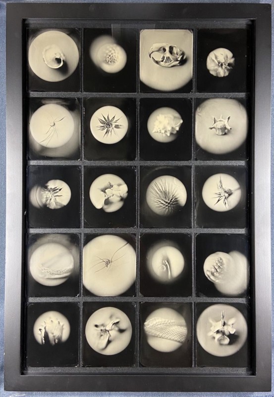 20_Tintypes_Framed_Photo_Palace_Anton_Orlov_Brass_Loupe-553x800.jpg