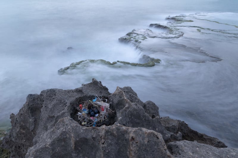 PA2F-environmental-photography-award-maxim-sayapin-800x533.jpeg