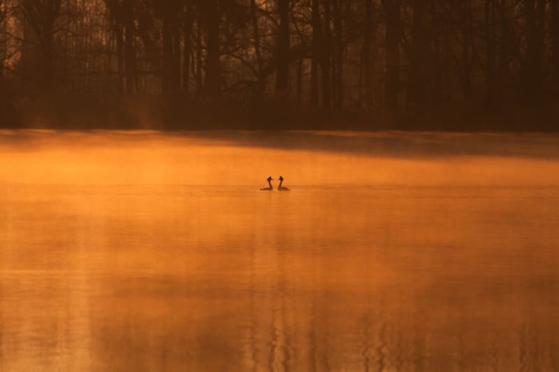 wildart-photographer-awards-competition-space-petapixel-Alexandr-Sterba-800x533.jpg