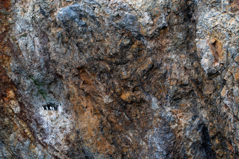 wildart-photographer-awards-competition-space-petapixel-Tuckwell-Smith-Christian-800x533.jpg