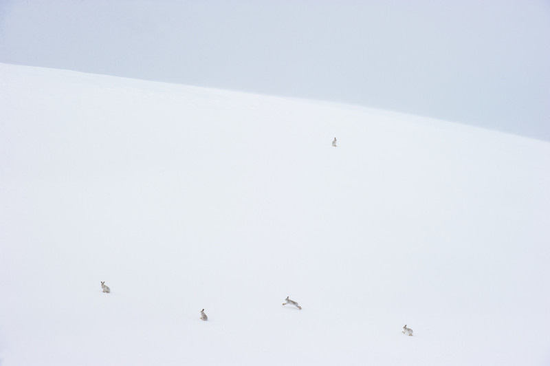 wildart-photographer-awards-competition-space-petapixel-andy-parkinson-800x532.jpg