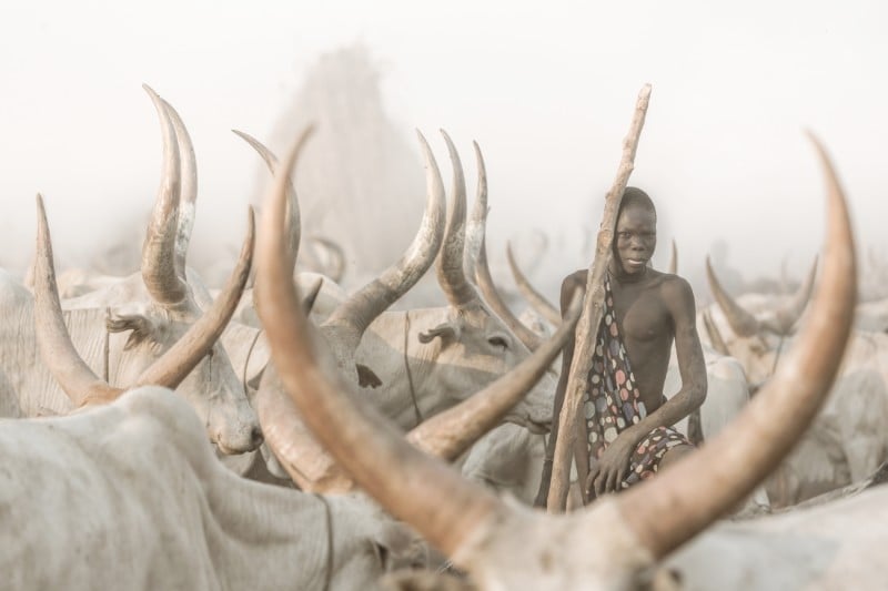 EnvironmentalPortrait_1st_Josef_Bürgi_Envir_The-Mundari-Cattle-Herder-800x533.jpeg