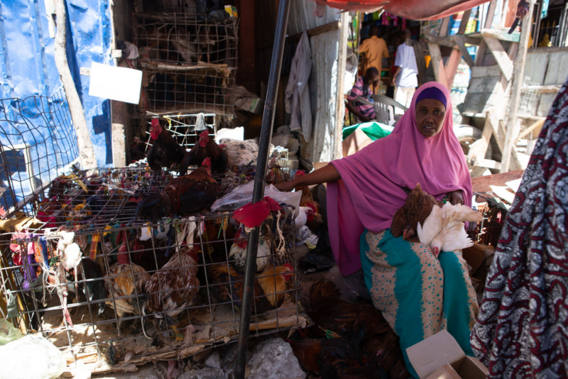somalian-photojournalist-fardowsa-hussein-petapixel-8-800x534.jpg