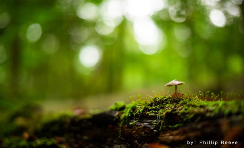 1606815202111428-800x486.jpg