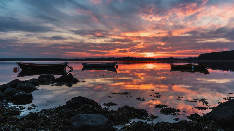 denmark-seasons-timelapse-shooting-tips-petapixel-3-800x450.jpg