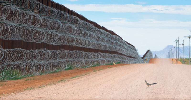 Roadrunner-Blocked-by-U.S.-Border-Wall-Wins-Best-Bird-Photo-of-2021-800x420.jpg