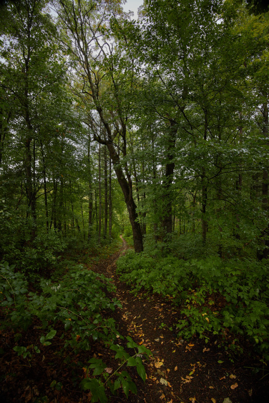 canon-rf-14-35mm-f4l-is-usm-lens-review-sample-6-533x800.jpg