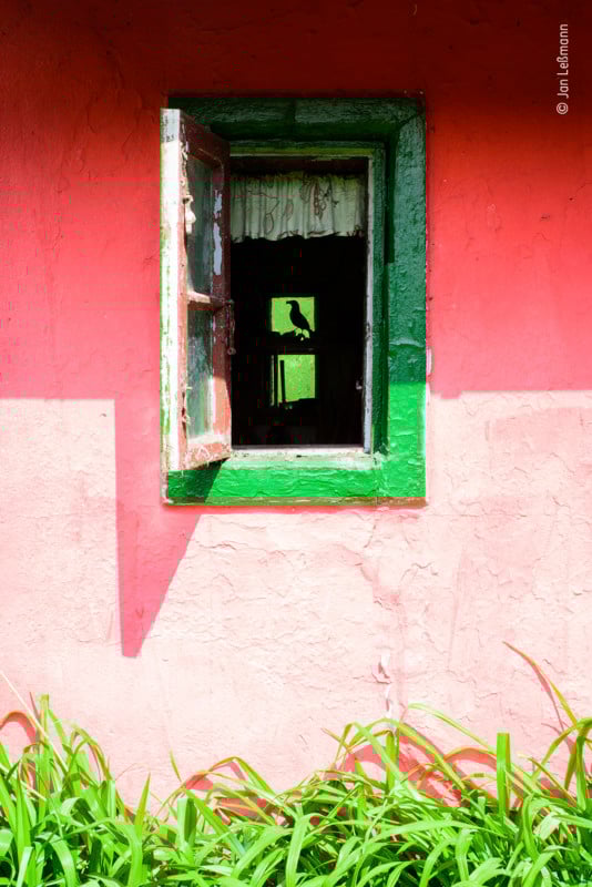 People’s Choice option for Wildlife Photographer of the Year 2021 People’s Choice option for Wildlife Photographer of the Year 2021