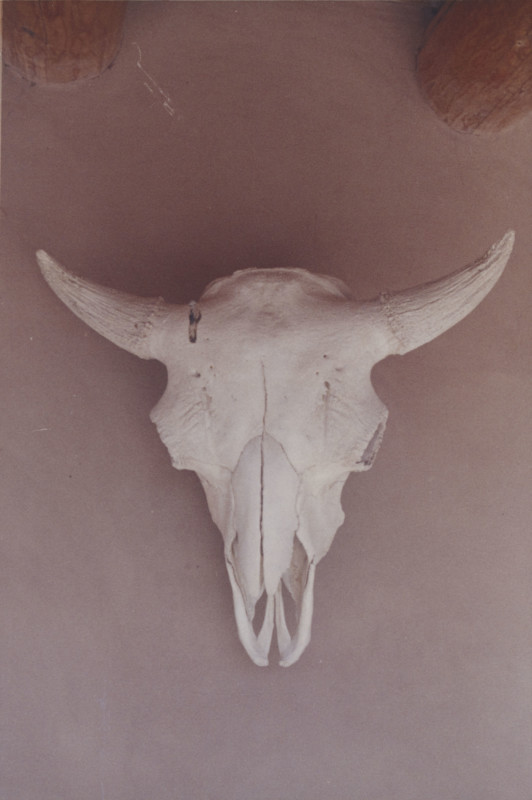 23_OKeeffe-Skull-Ghost-Ranch-EX_2021_GO_088-532x800.jpg
