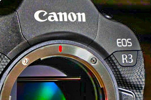 Canon R3 camera