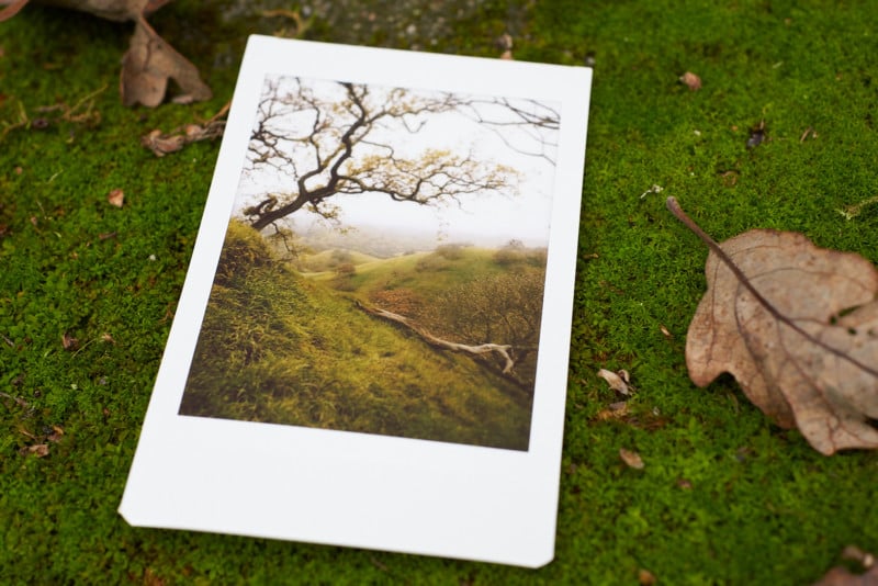 Instax print taken and developed from the Mini Evo. Instax print taken and developed from the Mini Evo.
