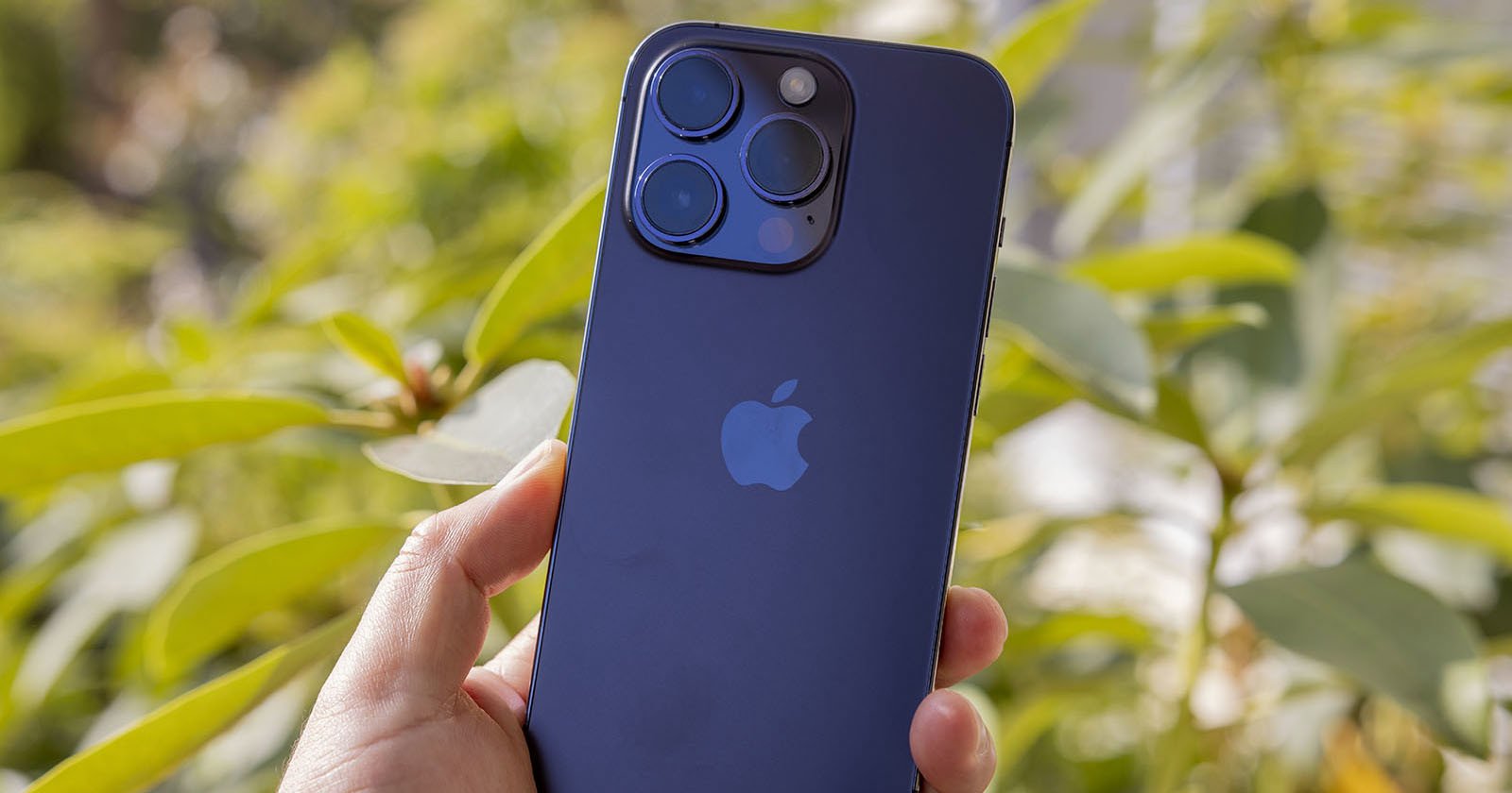 iPhone iPhone