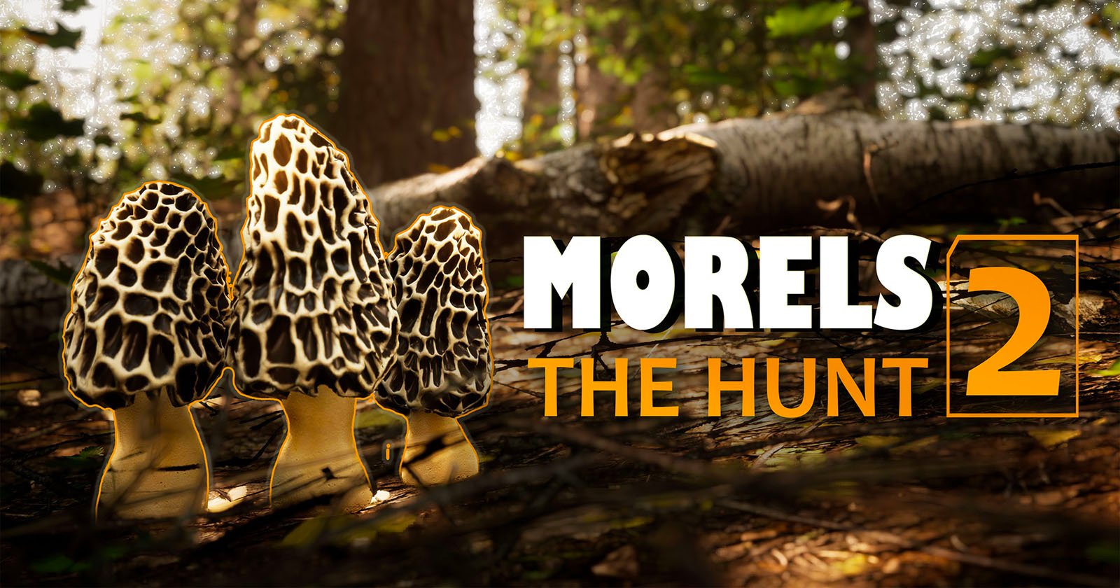 Morels The Hunt 2
