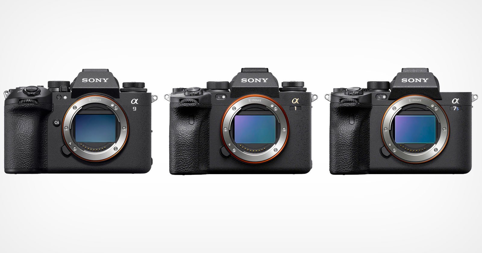 Sony cameras Sony cameras