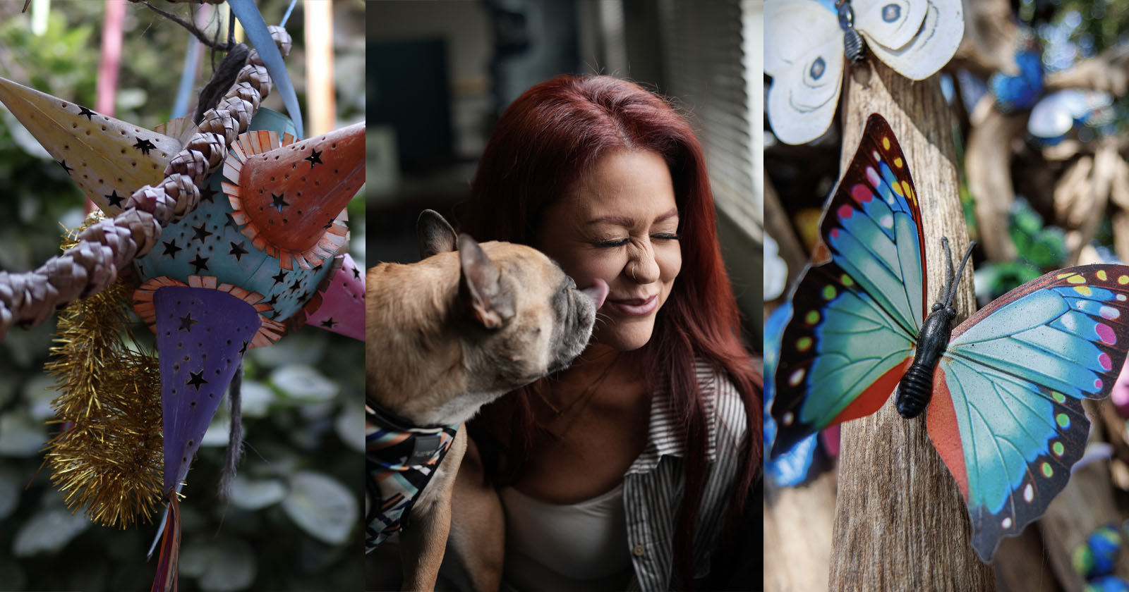 A collage with three panels: colorful star decorations, a woman smiling as a dog licks her face, and a close-up of vibrant blue butterflies on tree branches. A collage with three panels: colorful star decorations, a woman smiling as a dog licks her face, and a close-up of vibrant blue butterflies on tree branches.
