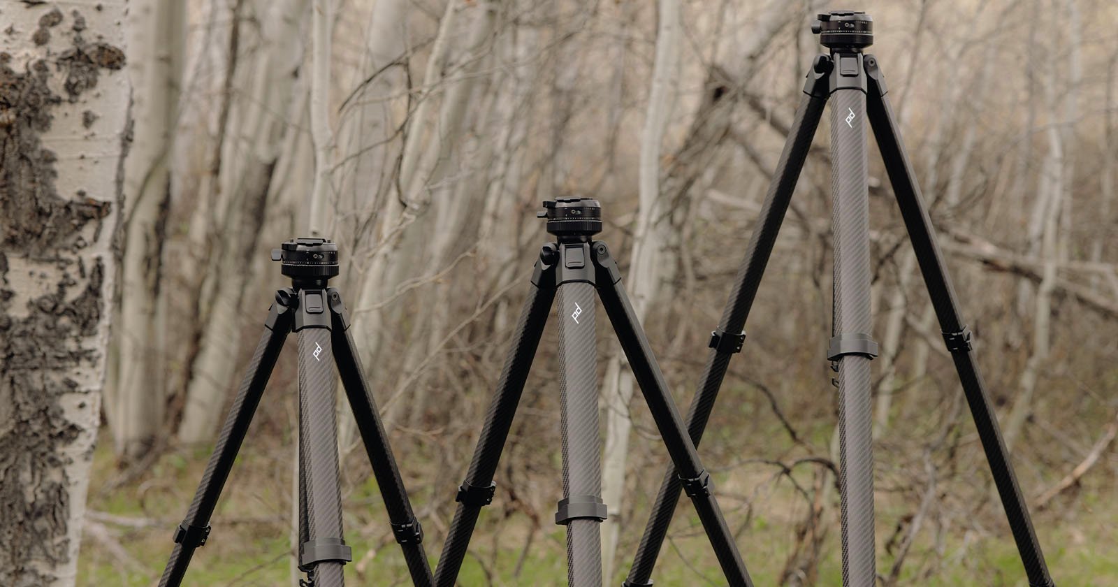Three camera tripods of varying heights are set up outdoors among leafless trees and sparse greenery, with a soft, blurred background. Three camera tripods of varying heights are set up outdoors among leafless trees and sparse greenery, with a soft, blurred background.