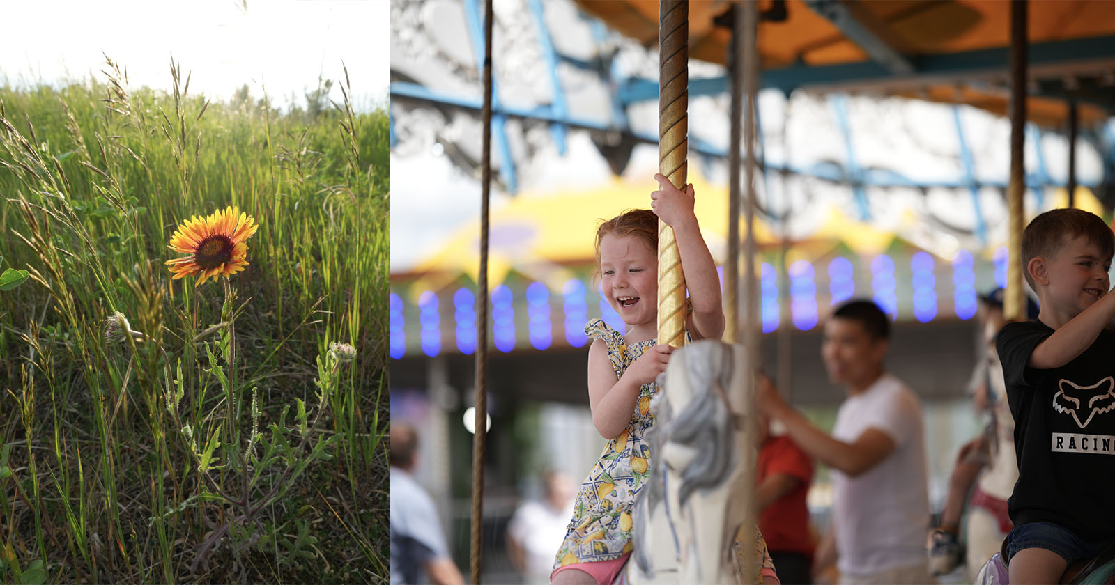 On the left, a single yellow and red flower grows in a sunlit grassy field. On the right, children smile and ride a merry-go-round at an amusement park, with blurred lights and people in the background. On the left, a single yellow and red flower grows in a sunlit grassy field. On the right, children smile and ride a merry-go-round at an amusement park, with blurred lights and people in the background.