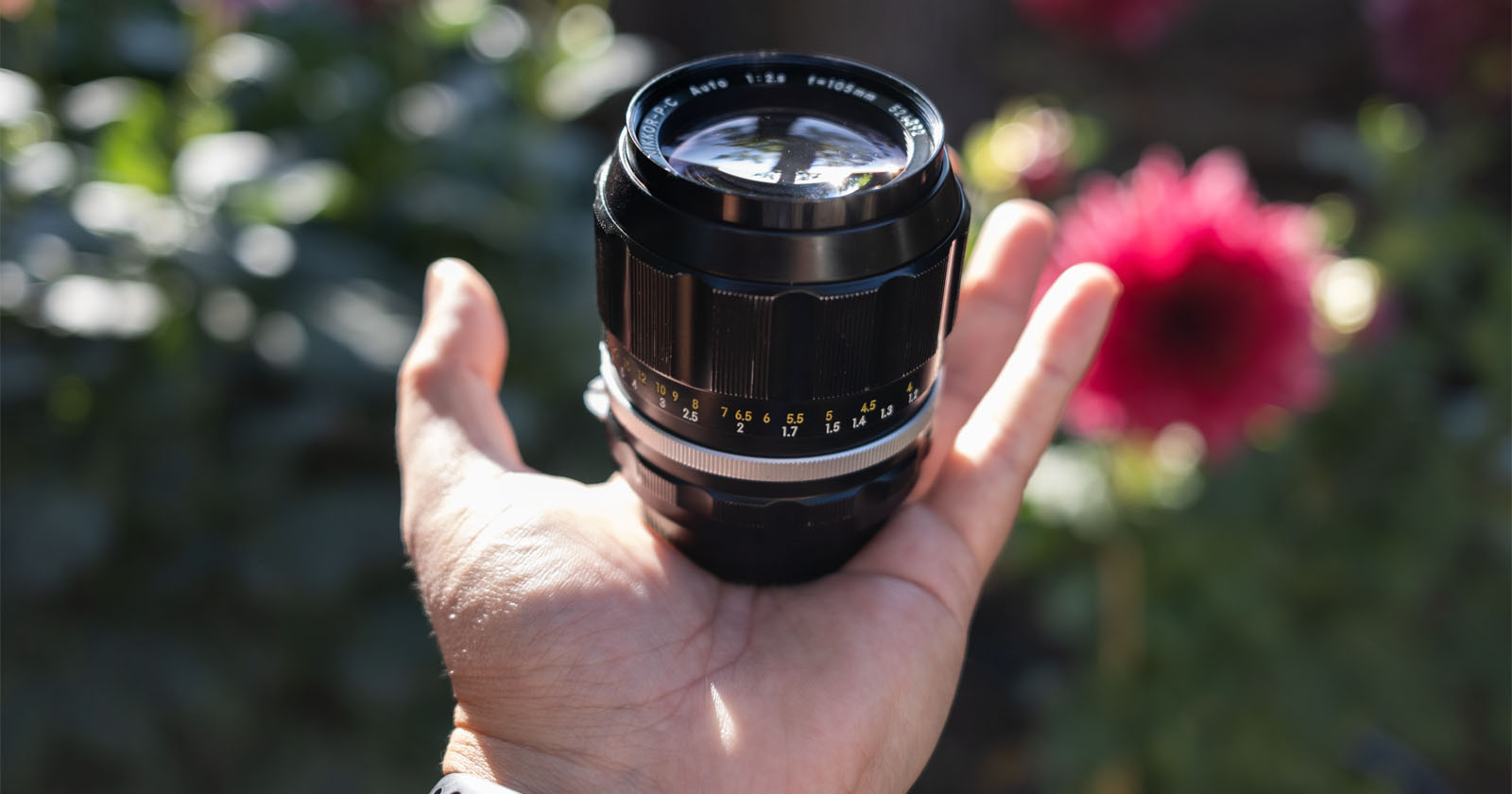 A hand holds a black camera lens outdoors with a blurred background of green foliage and a bright pink flower. Sunlight casts shadows on the hand and lens. A hand holds a black camera lens outdoors with a blurred background of green foliage and a bright pink flower. Sunlight casts shadows on the hand and lens.