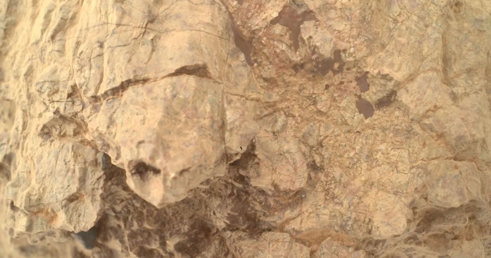 Close-up view of a textured, light brown rock surface with rough, uneven features and visible cracks and crevices. The lighting highlights the varied natural patterns and irregularities in the stone. Close-up view of a textured, light brown rock surface with rough, uneven features and visible cracks and crevices. The lighting highlights the varied natural patterns and irregularities in the stone.