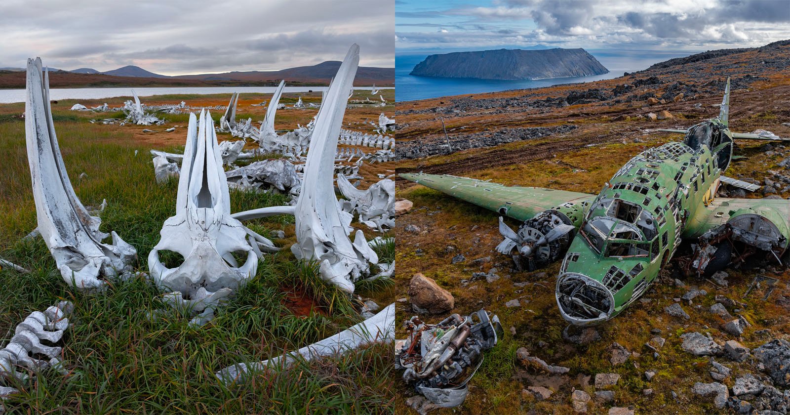A split image shows large white whale skulls and bones scattered on grassland near water on the left, and an abandoned, weathered green aircraft wreck on rocky terrain by the sea on the right. A split image shows large white whale skulls and bones scattered on grassland near water on the left, and an abandoned, weathered green aircraft wreck on rocky terrain by the sea on the right.