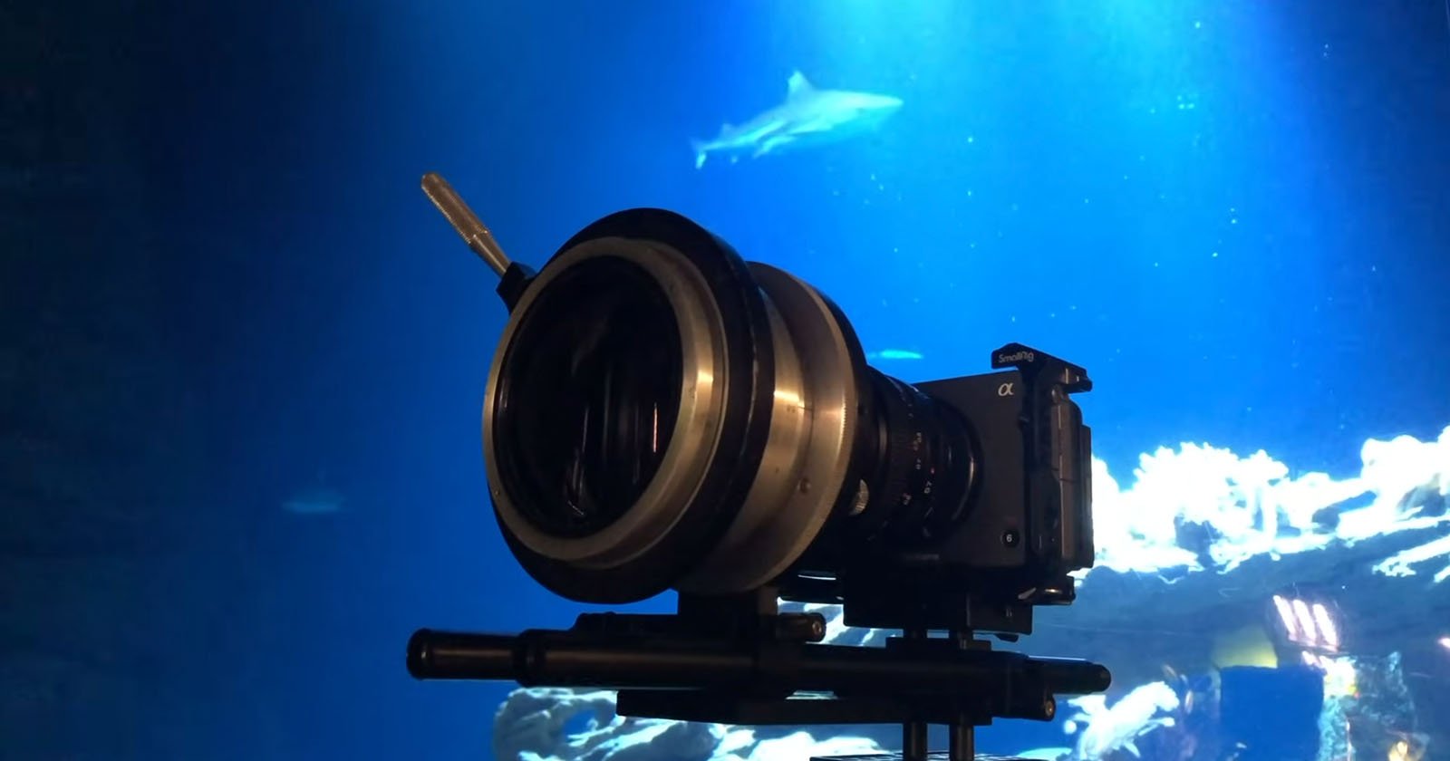 A camera mounted on a tripod is positioned in front of a large aquarium tank, with a shark and several fish swimming in the blue water background. A camera mounted on a tripod is positioned in front of a large aquarium tank, with a shark and several fish swimming in the blue water background.