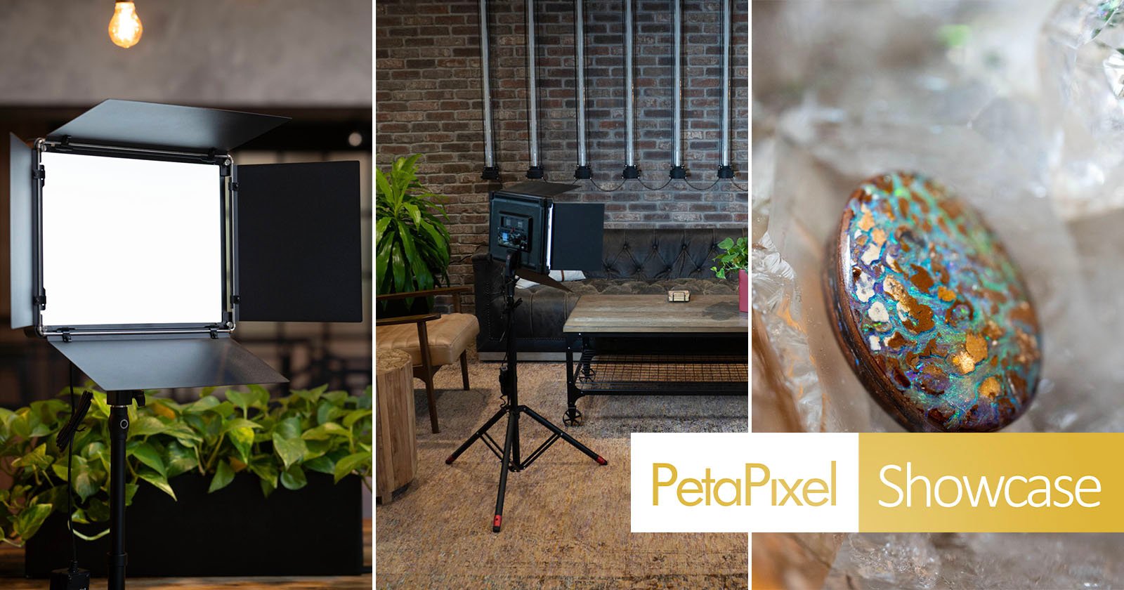 Collage with: a professional studio light above green plants, the same light set up in an industrial-style room, and a close-up of a decorated stone. “PetaPixel Showcase” text appears in the lower right corner. Collage with: a professional studio light above green plants, the same light set up in an industrial-style room, and a close-up of a decorated stone. “PetaPixel Showcase” text appears in the lower right corner.