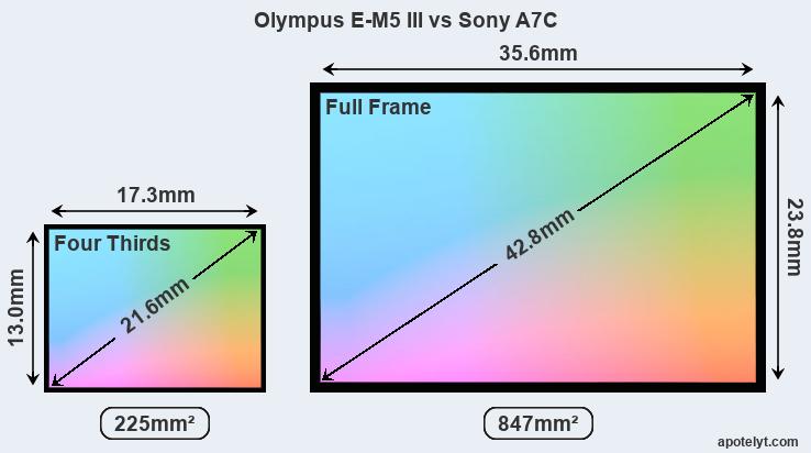 olympus-e-m5-iii-vs-sony-a7c-sensor-a.jpg